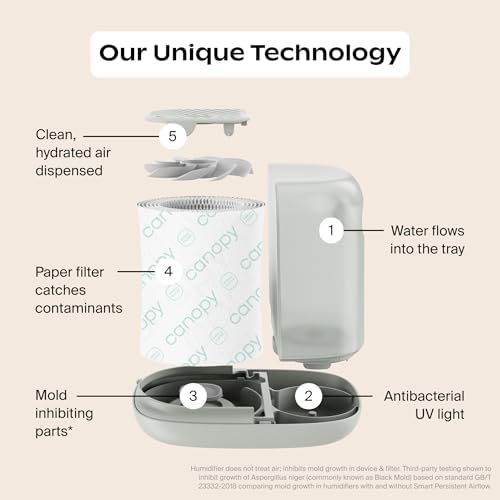 Canopy Bedside Humidifier 2.0, 36 Hr, Reading Light & Sound - Image 4