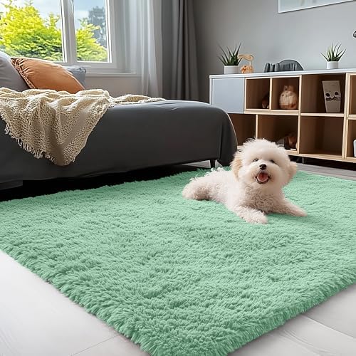OLANLY 3x5 Machine Washable Small Bedside Rug, Soft Fluffy Shaggy Rugs by OLANLY