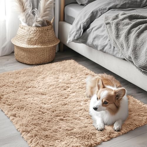 OLANLY 2x2 Machine Washable Small Rug, Soft Fluffy Shaggy Throw Rug by OLANLY