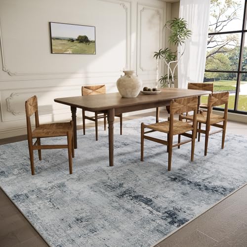 Washable Living Room Area Rug: 6x9 Rugs - Image 3