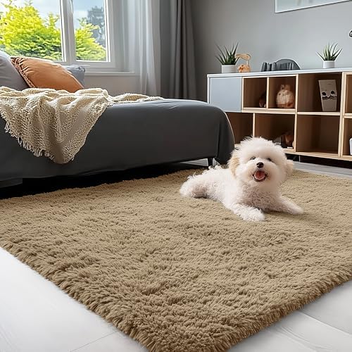 OLANLY 3x5 Machine Washable Small Bedside Rug, Soft Fluffy Shaggy Rugs by OLANLY