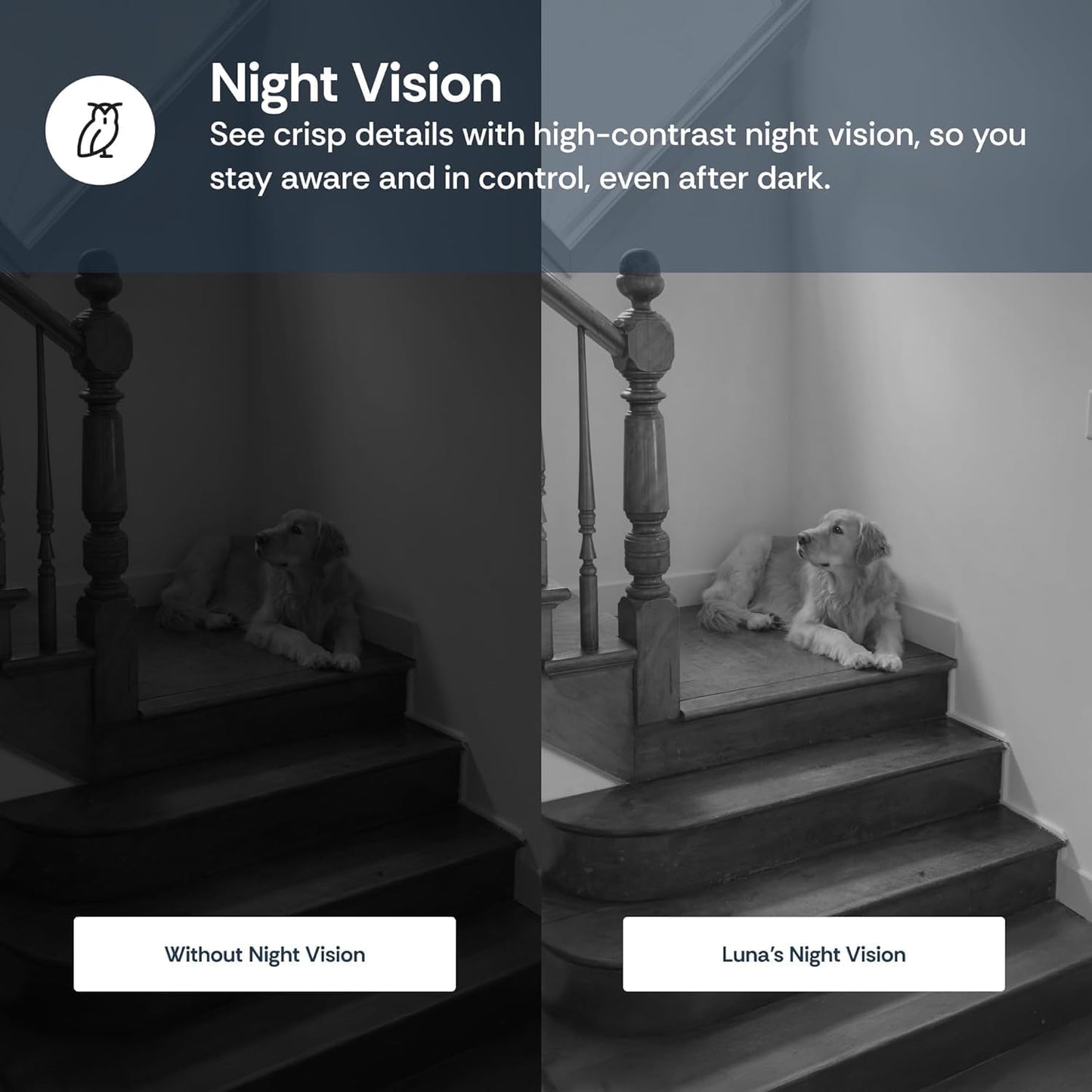 Luna Cameras for Home Security Indoor, Advanced AI Motion Detection, 360° Pan/Tilt, Plug-in, Night Vision, 2.4GHz WiFi, 2-Way Audio, Pet Camera with Phone App, Easy DIY Surveillance System (Black)
