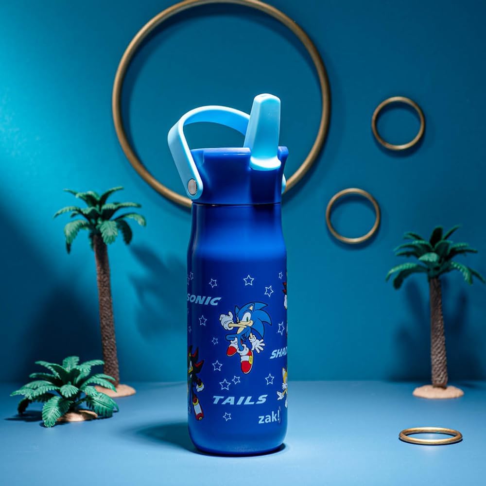 Zak Designs Harmony Sonic the Hedgehog Water Bottle for Travel or Home, 20oz Recycled Stainless Steel is Leak-Proof When Closed and Vacuum Insulated with Straw Lid and Carry Handle (Sonic & Friends)