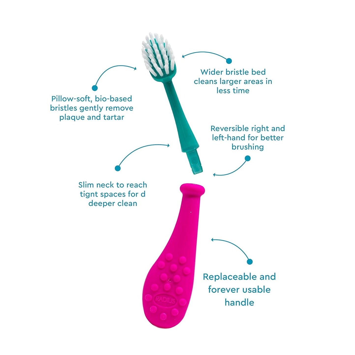 RADIUS Big Kidz Forever Brush Replaceable Head Toothbrush for Children, 6 Years and Up, BPA Free ADA Accepted for Growing Teeth and Gums - Right and Left Handed, Extra Soft - Pack of 1
