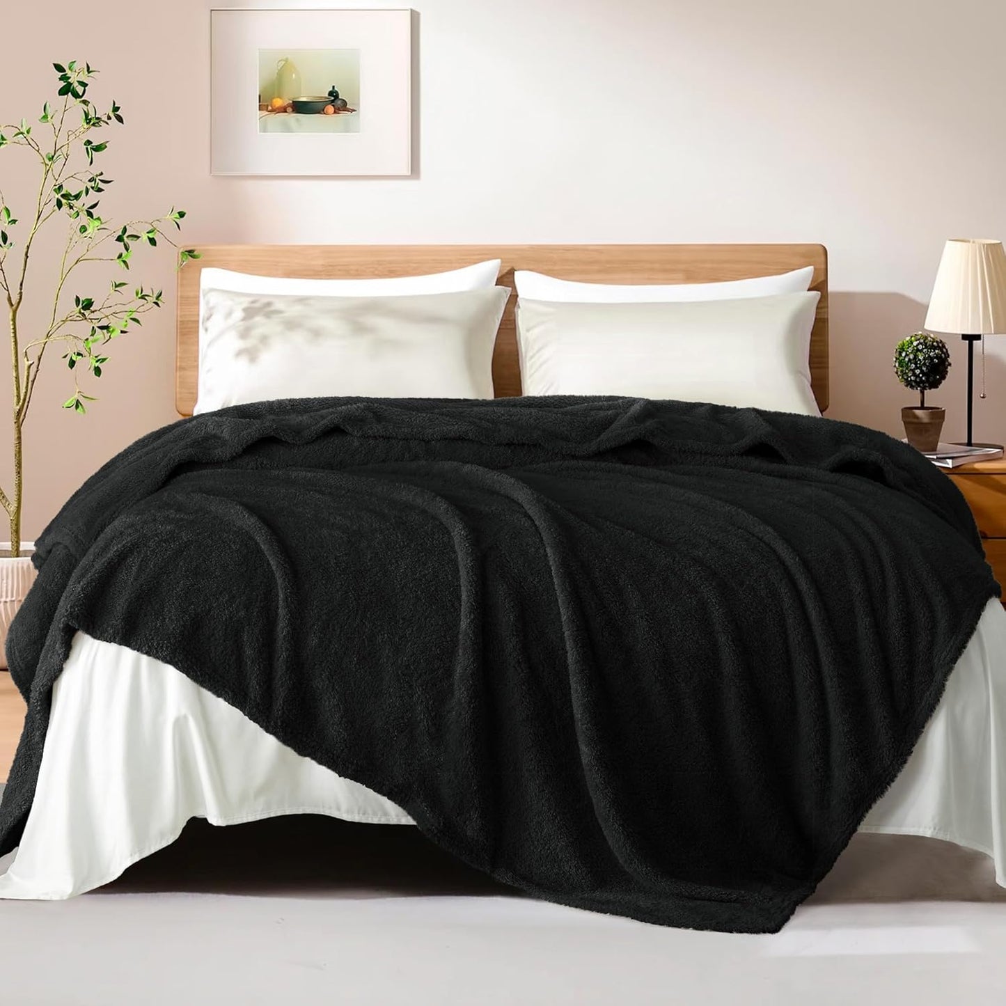 Exclusivo Mezcla Fleece Queen Blankets for Bed, Soft and Cozy Blankets for Women Men Girls Kids, Suitable for All Seasons, Black,90x90 Inches