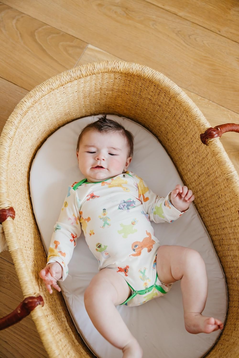 Copper Pearl Long Sleeve Bodysuit Baby: Ultra Soft Baby for Newborns, Boys, and Girls - Stylish, Comfortable, Overlap Shoulders, Premium Knit Fabric - 6-12 Months, Sesame Friends