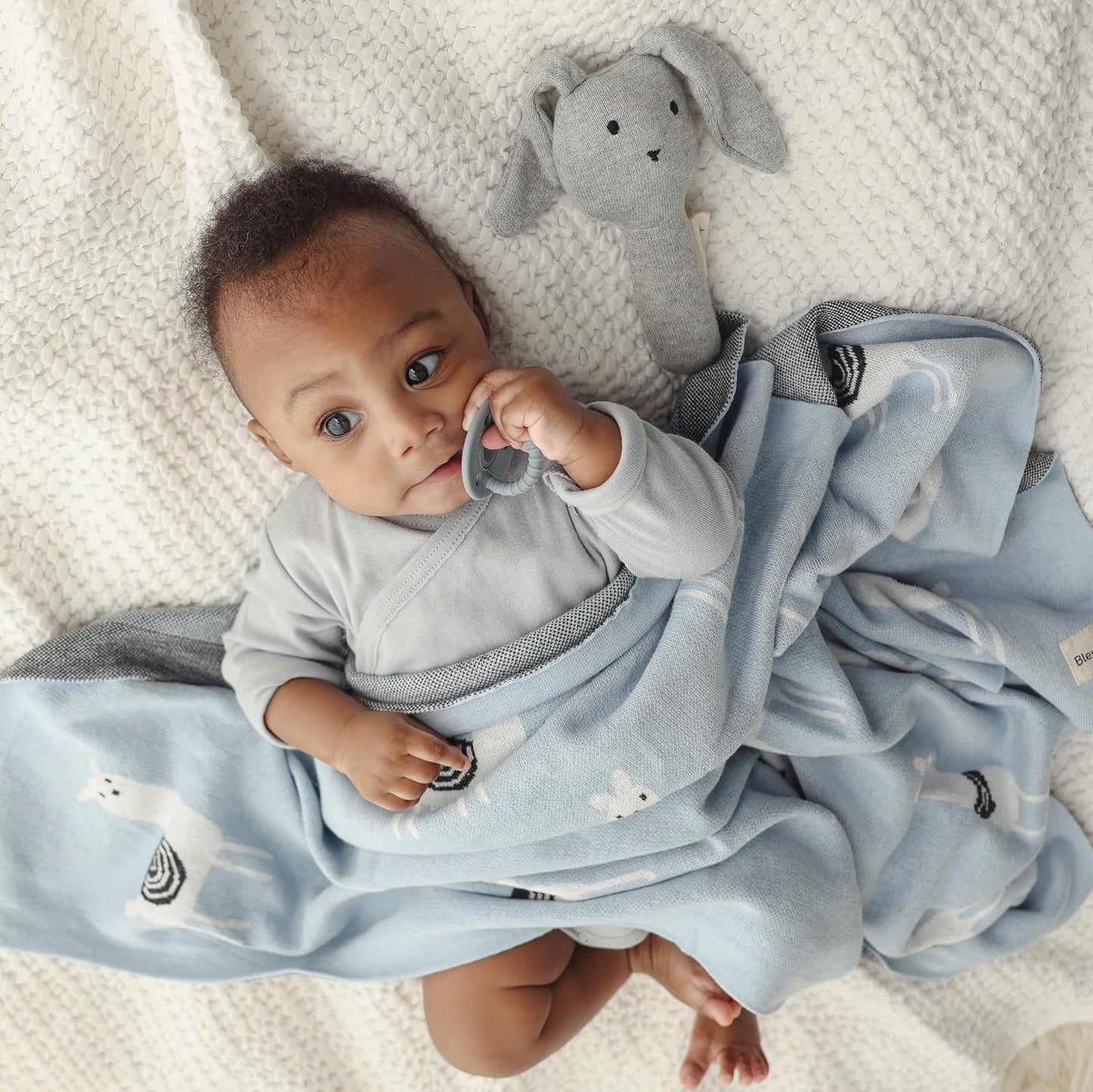 Baby Receiving Swaddle Stroller Blanket - 100% Fine Loomed Cotton Cozy Cuddle Crib Stroller Unisex Quilt Knit Blanket for Newborns Infants Toddler Boys and Girls (Llama - Baby Blue)
